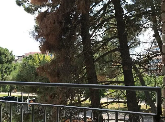 Nimfa-rusalka Sluneční pobřeží