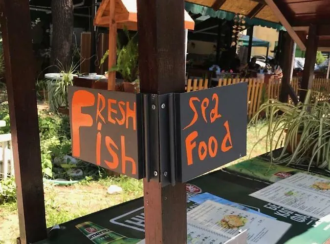 Отель Nimfa-rusalka 2*